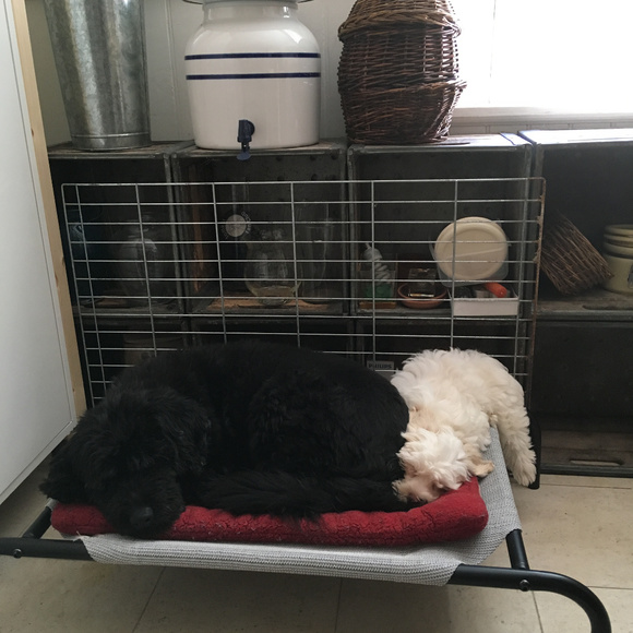 Meet your Posher and her crew! - Picture 2 of 5